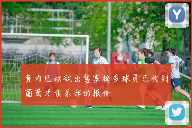 费内巴切欲出售塞梅多球员已收到葡萄牙俱乐部的报价