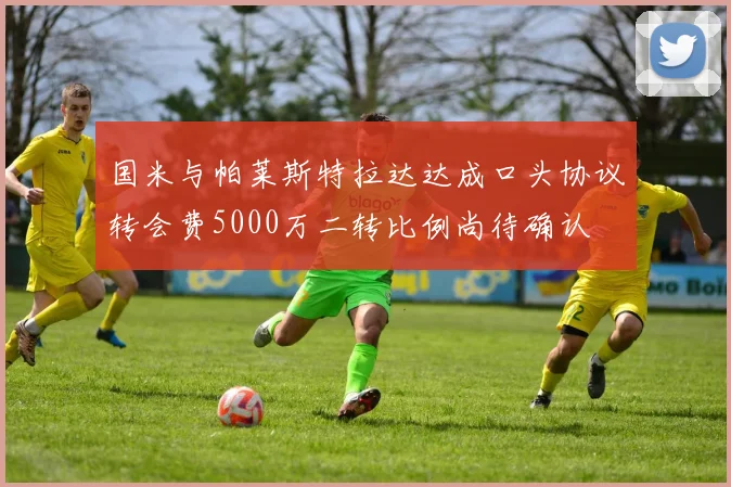 国米与帕莱斯特拉达达成口头协议转会费5000万二转比例尚待确认